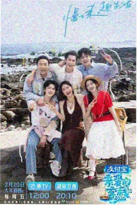 婚礼傲客在线观看 海报